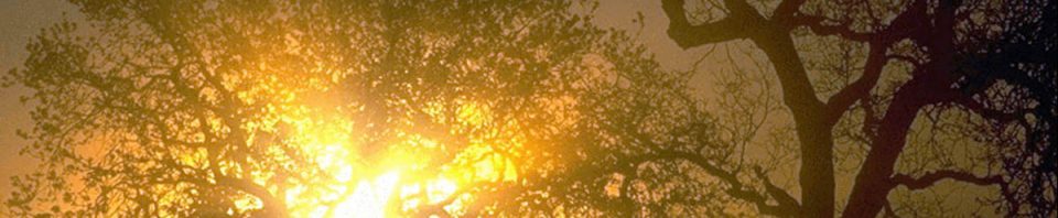 Sunset-Sky-711