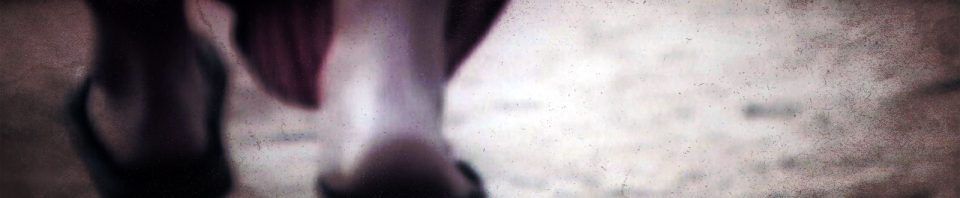 Following_Jesus_Banner1